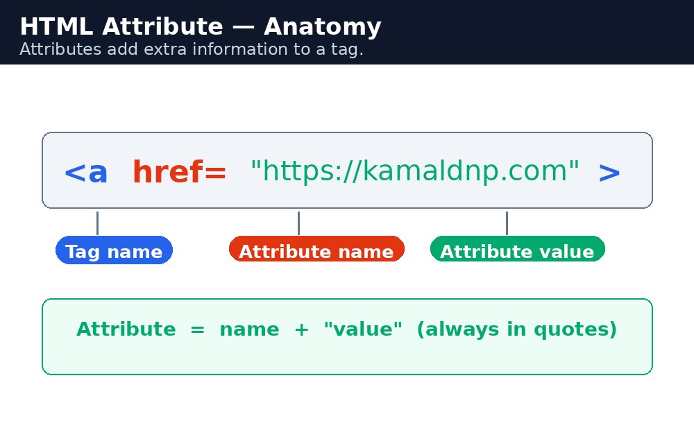 Infographic: एक HTML attribute के हिस्से