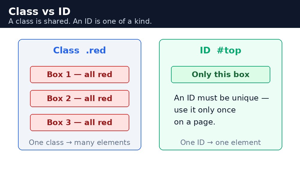 Infographic: HTML में class बनाम ID