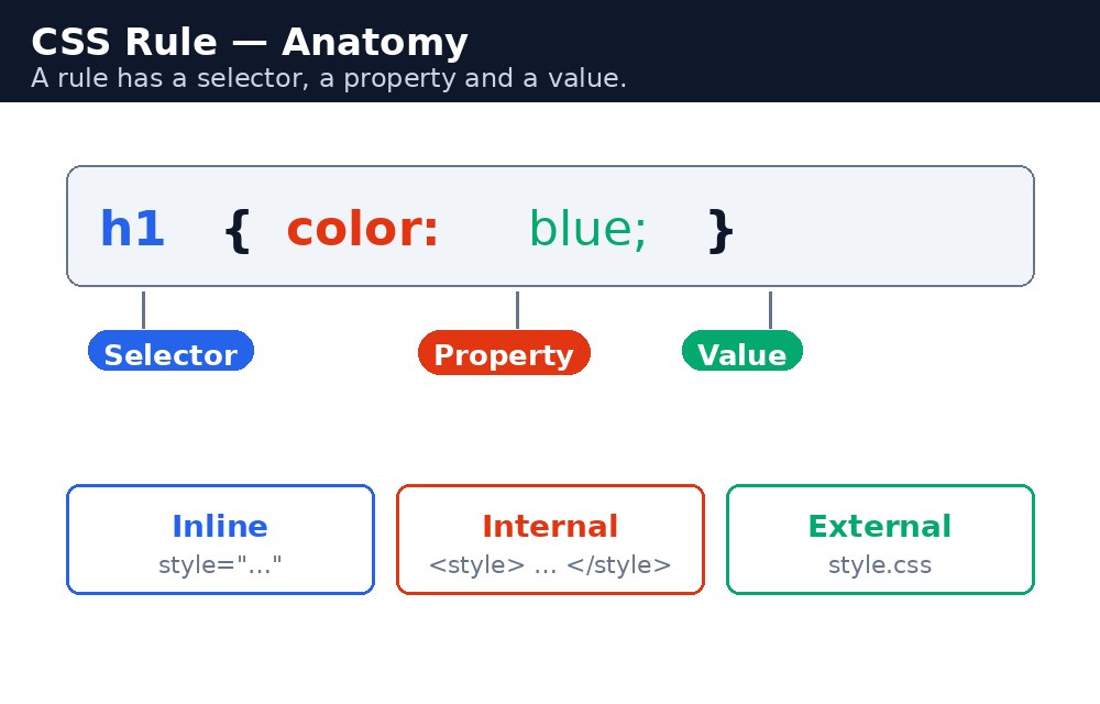 Infographic: CSS rule के हिस्से