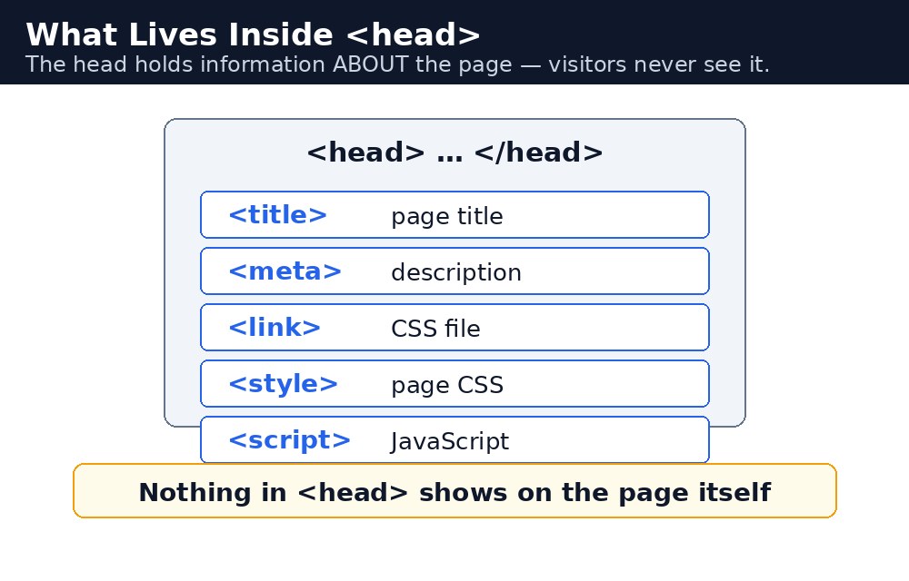 Infographic: head section के अंदर क्या रहता है