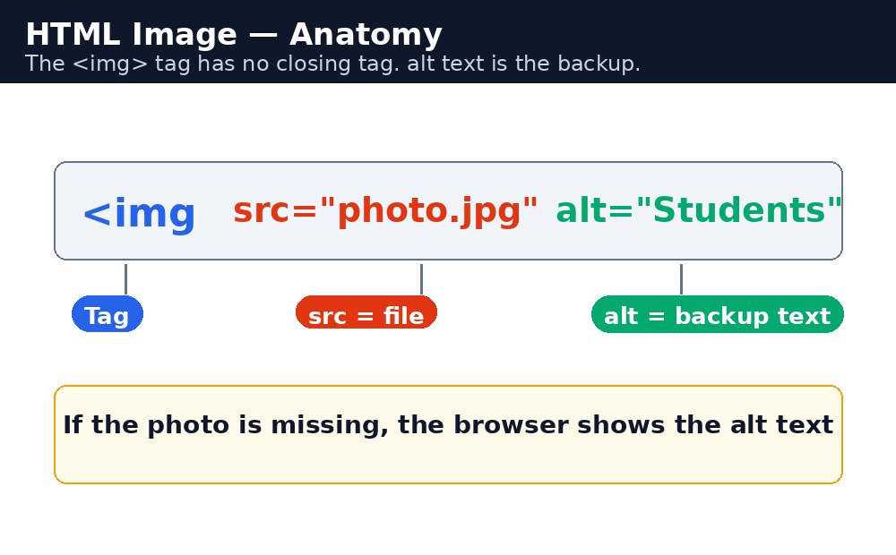 Infographic: HTML image tag के हिस्से