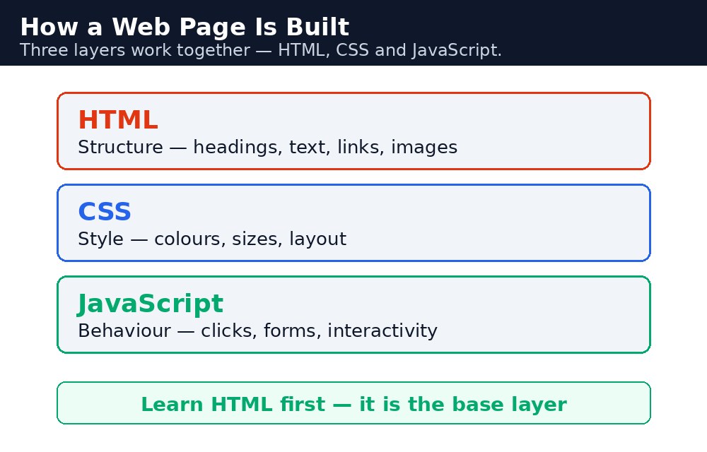 Infographic: वेब पेज HTML, CSS और JavaScript से कैसे बनता है