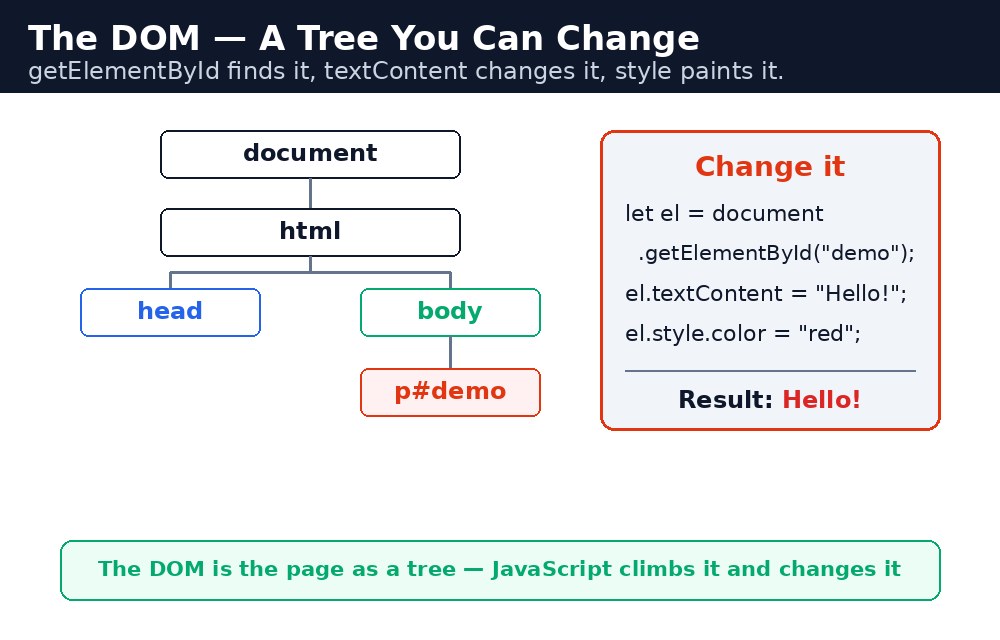 Diagram: JavaScript and the DOM