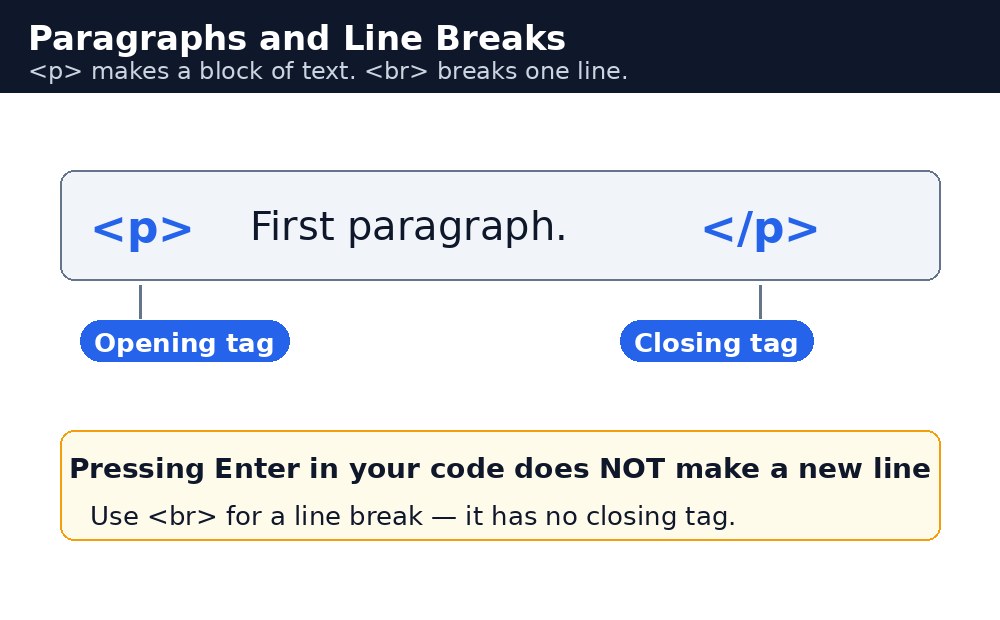 Infographic: paragraphs और line breaks