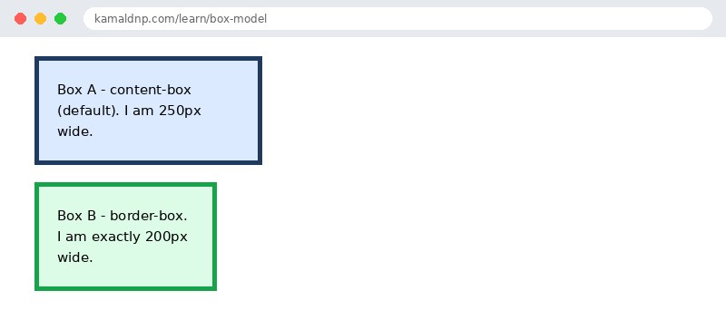 Output of CSS Box Model