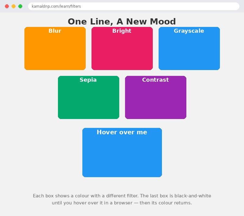 Output of CSS Filters Tutorial — Blur, Grayscale, Sepia & More