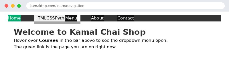 Output of CSS Navigation Bar