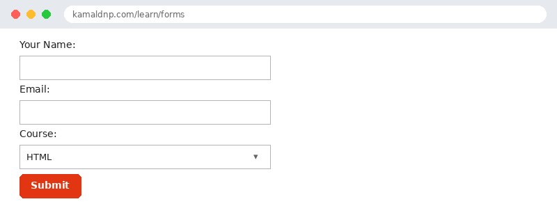 Output of HTML Forms